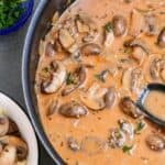 Mushroom Stroganoff