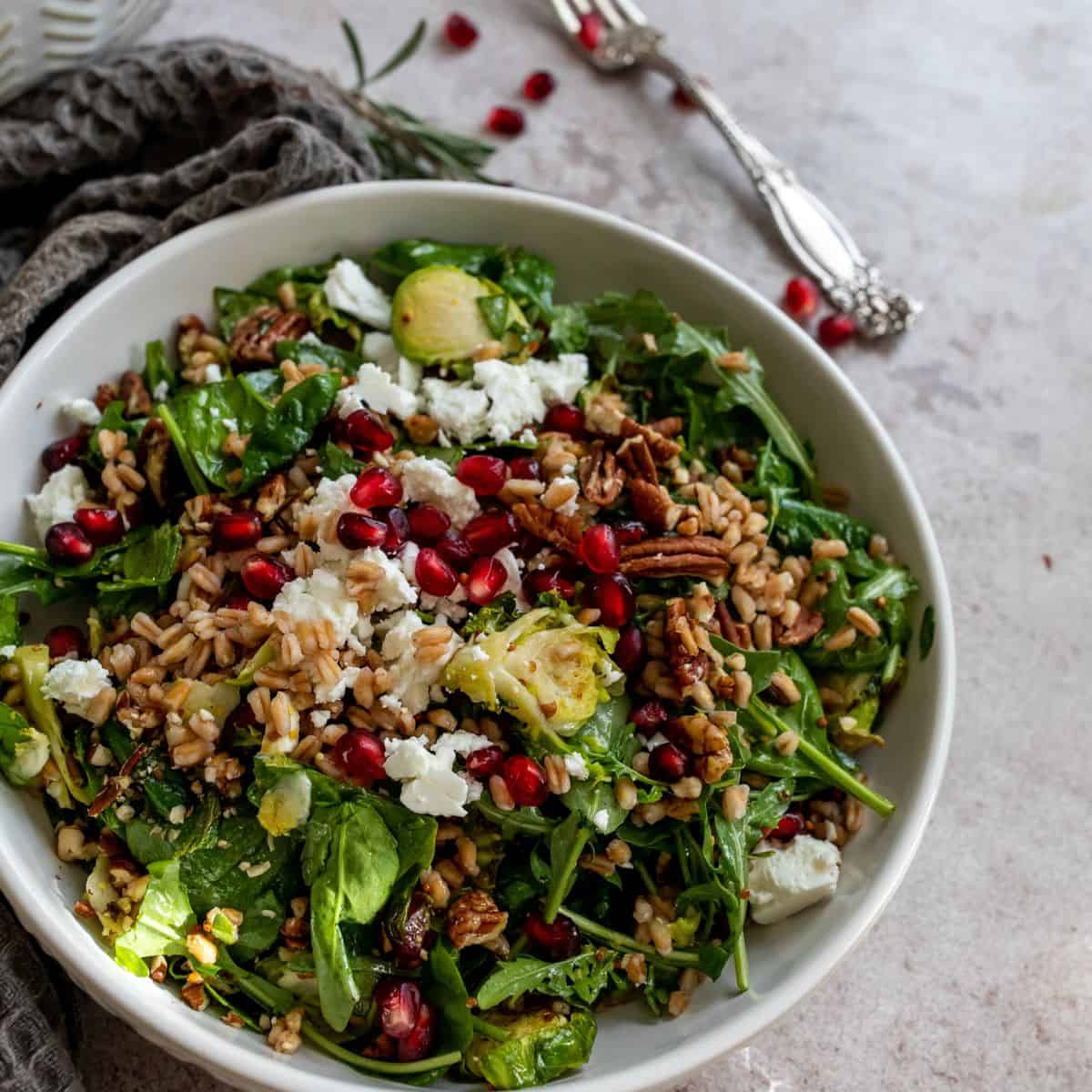 Fall salad in a white bowl with a fork.