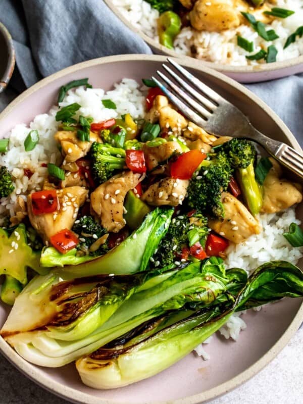 Chicken and rice with veggies in a bowl.