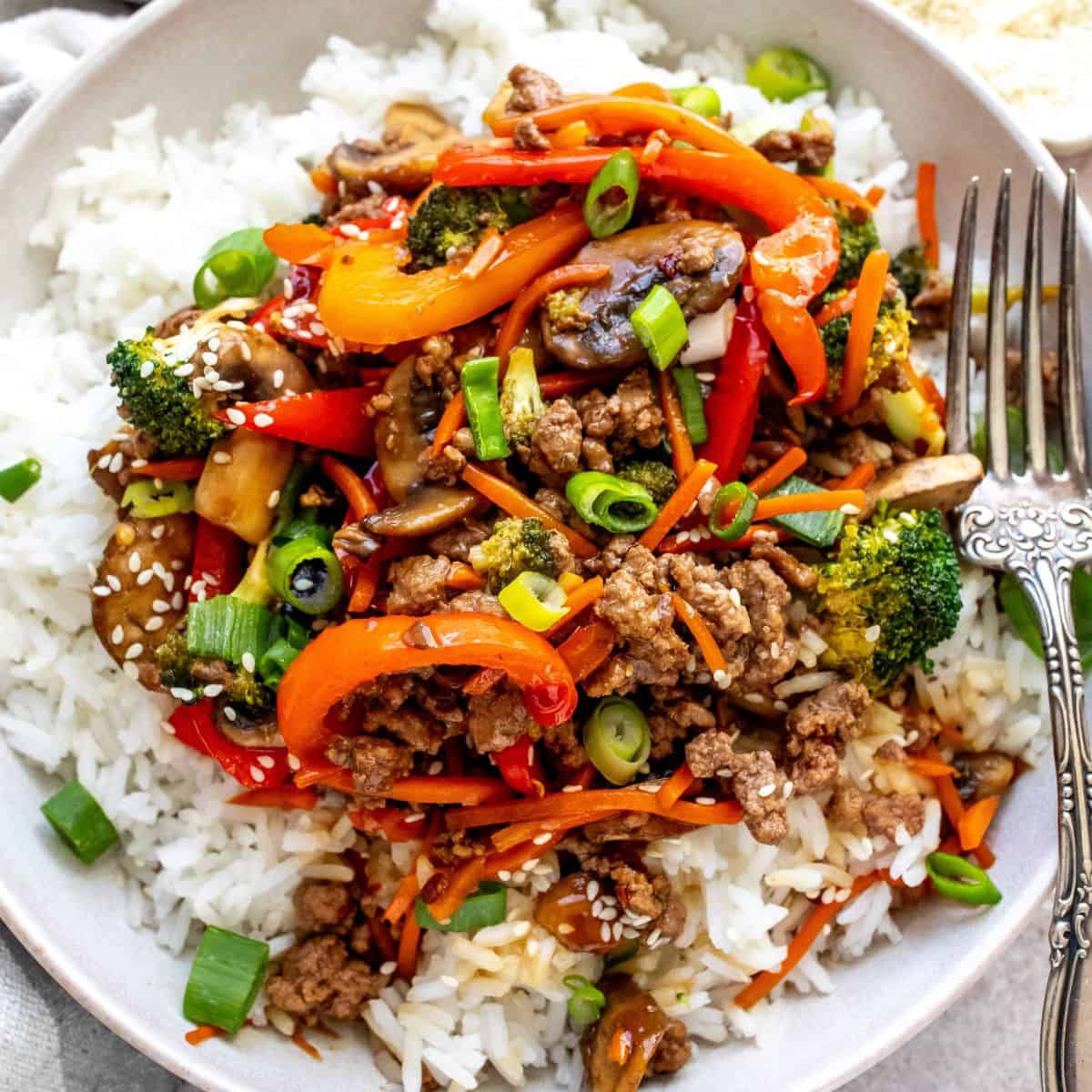 White bowl with ground beef Teriyaki over rice.