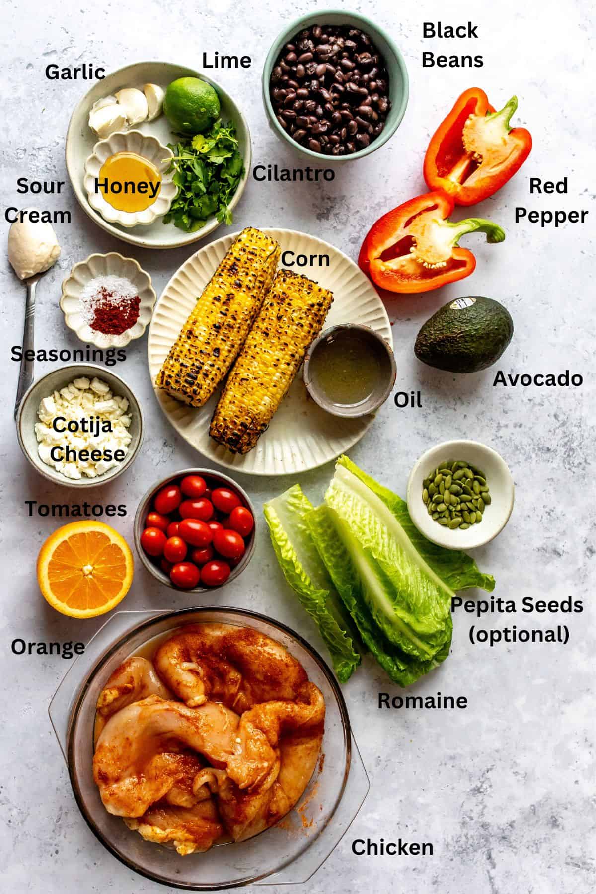 Ingredients needed to make this recipe overhead.