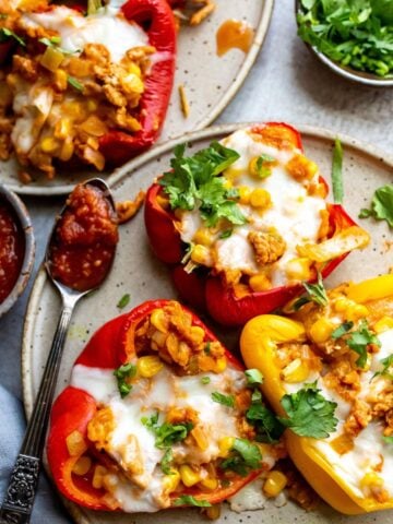 up close plate with chicken stuffed peppers.