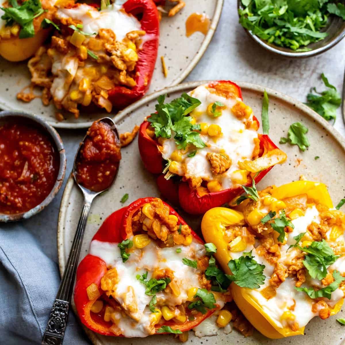 https://sailorbailey.com/wp-content/uploads/2023/07/Ground-Chicken-Stuffed-Peppers1.jpg