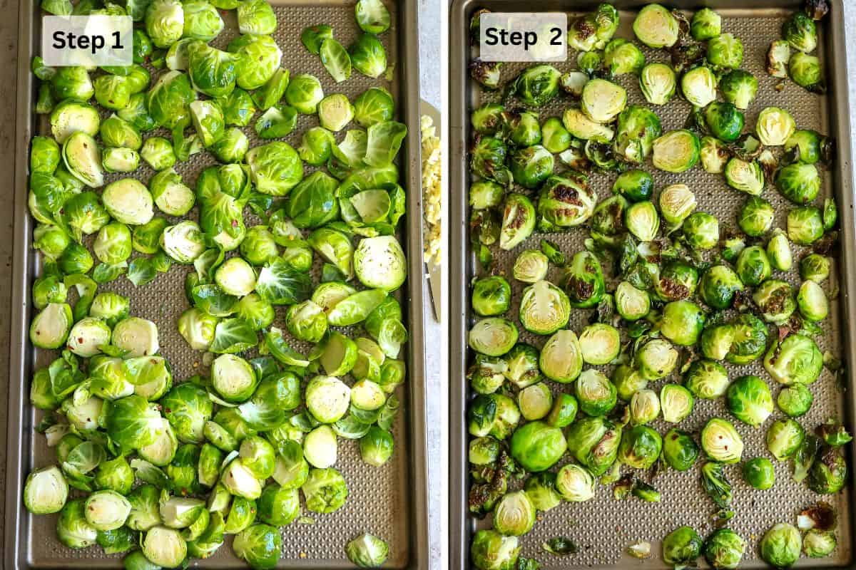 Brussel sprouts on a baking sheet raw and then roasted. 