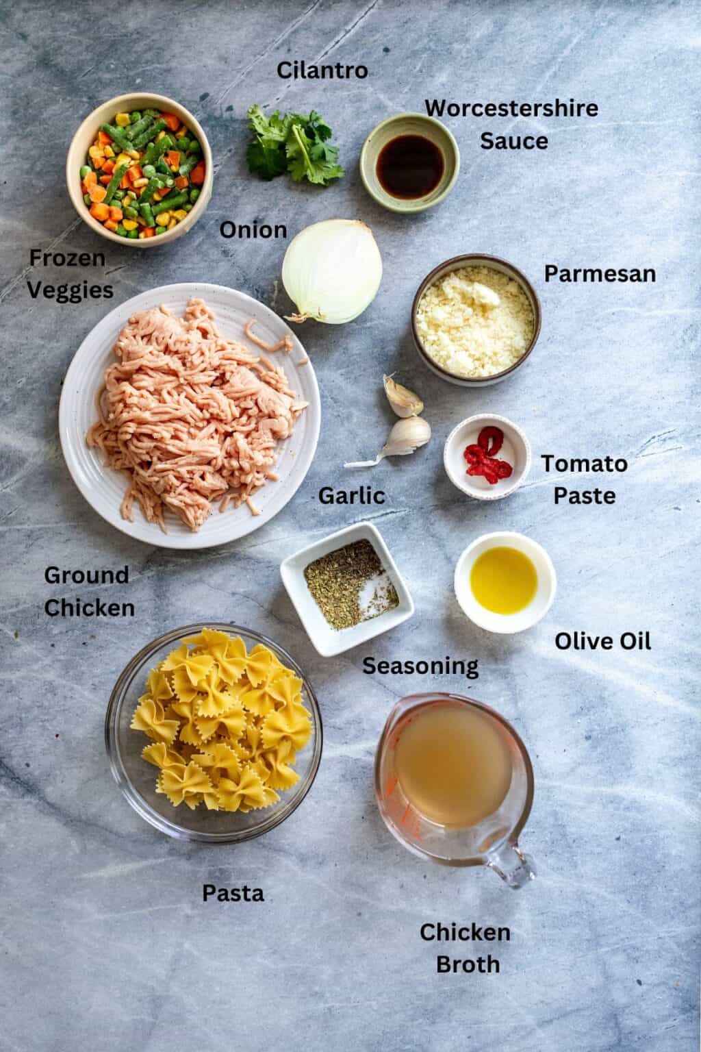 Ground Chicken Soup Sailor Bailey