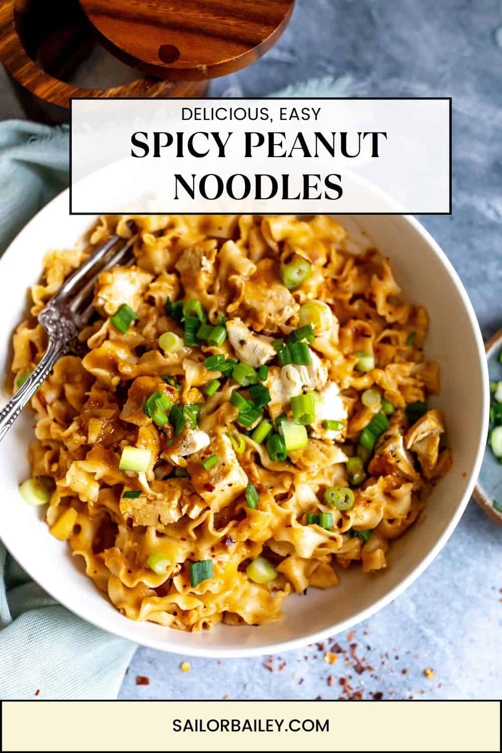 Peanut Spicy Noodles - Sailor Bailey