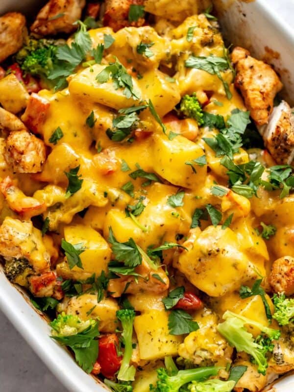 White baking dish with chicken broccoli potato casserole in it.