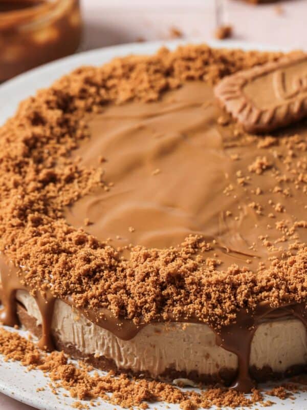 An image of a biscoff cheesecake with a cheesecake base and a Biscoff cookie crust, on a serving plate.