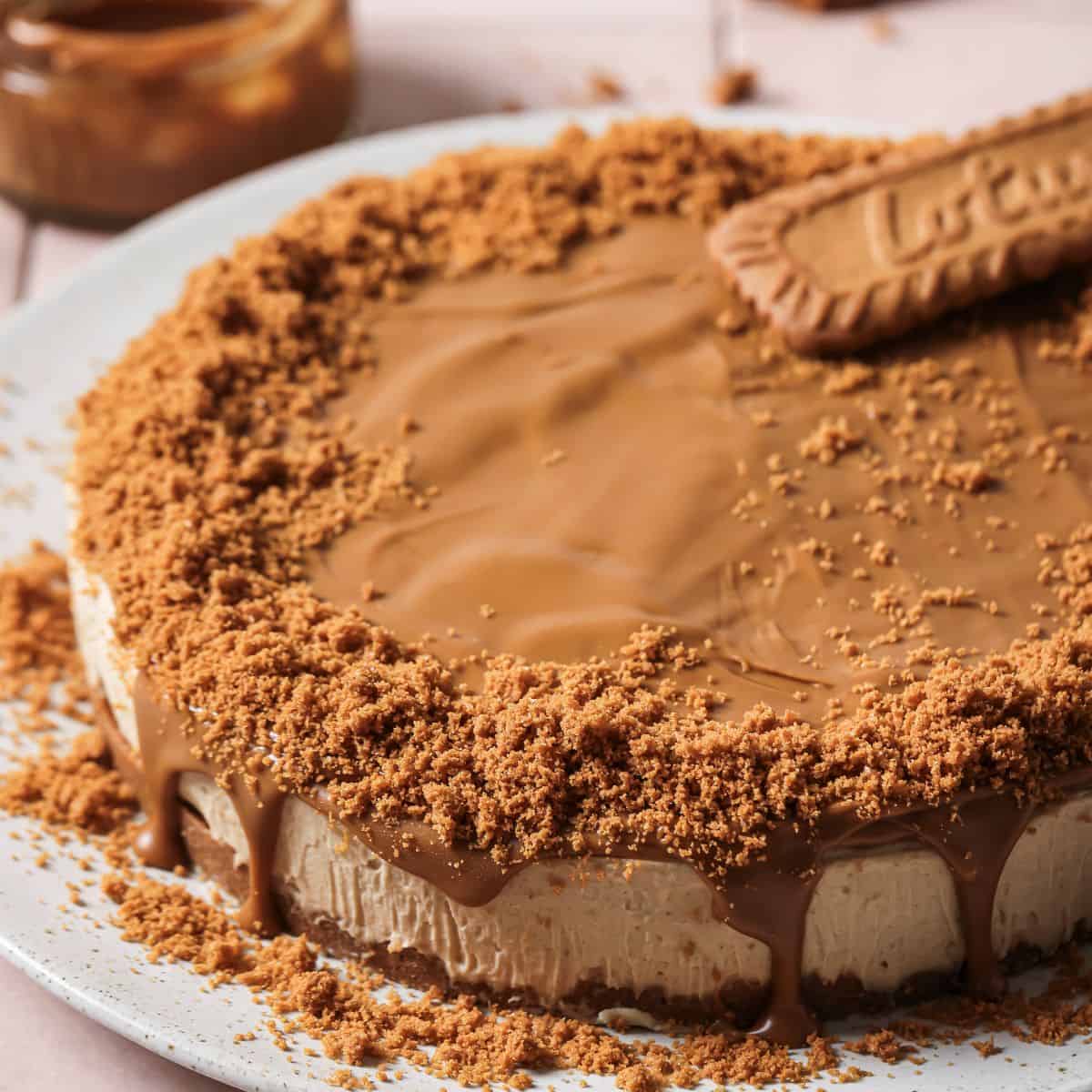 An image of a biscoff cheesecake with a cheesecake base and a Biscoff cookie crust, on a serving plate.