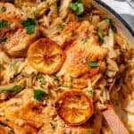 Close up of lemon chicken and orzo with herbs and lemon slices
