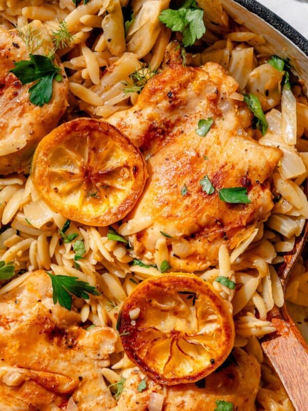 Close up of lemon chicken and orzo with herbs and lemon slices