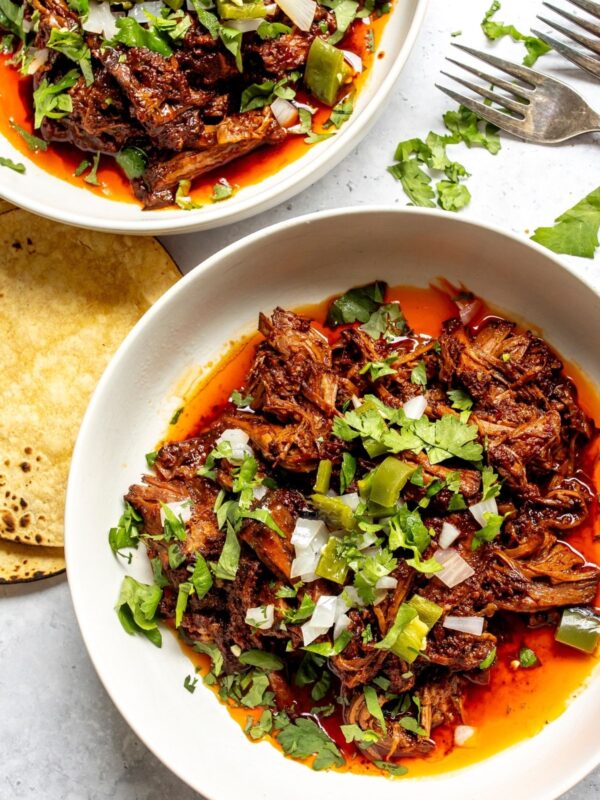 The slow cooker beef birria in a shallow bowl with cilantro sprinkled on top.
